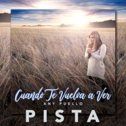 Cuando te vuelva a ver (pista)