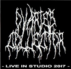 Live In Studio 2017