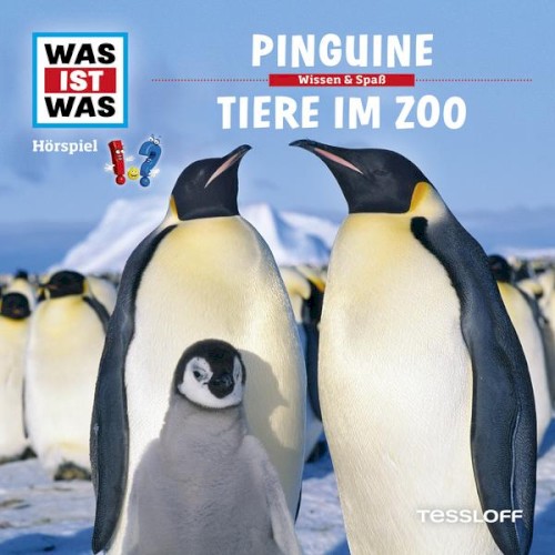 Pinguine / Tiere im Zoo