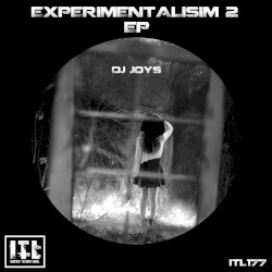 Experimentalisim 2 Ep