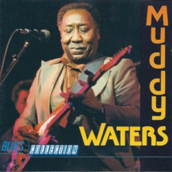 Muddy Waters