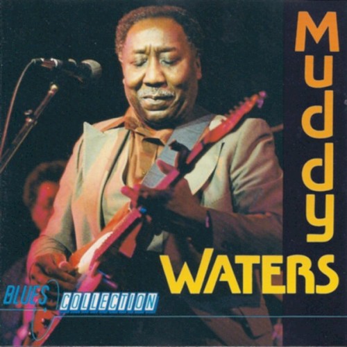Muddy Waters