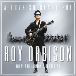 A Love So Beautiful