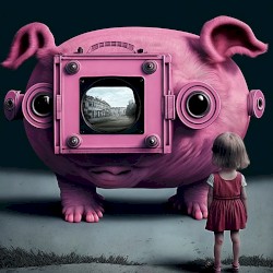 Pigs