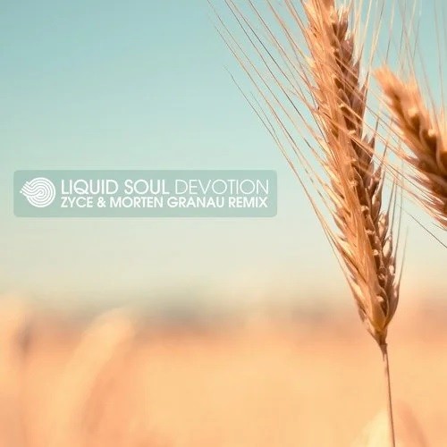 Devotion (Morten Granau & Zyce remix)
