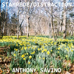 Stampede b/w Distraction