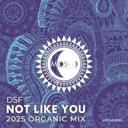 Not Like You (2025 Organic Mix)