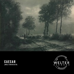 WELTER263LP