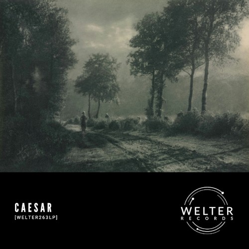 WELTER263LP