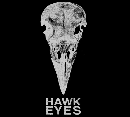 Hawk Eyes Live in Amsterdam