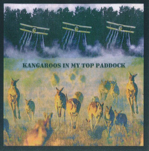 Kangaroos in My Top Paddock