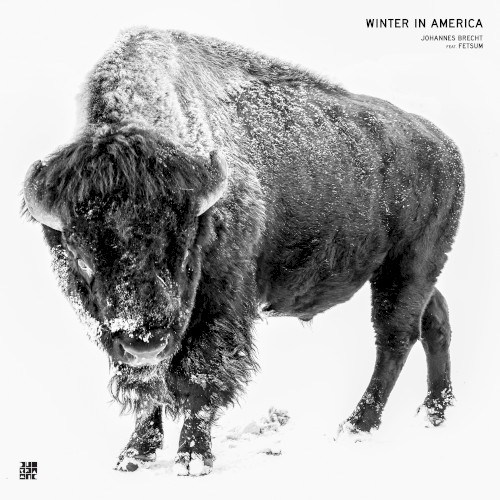 Winter in America