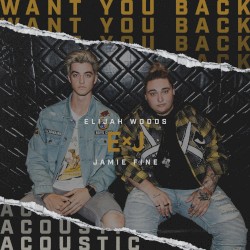 Want You Back (acoustic)