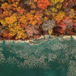 Chilling in autumn