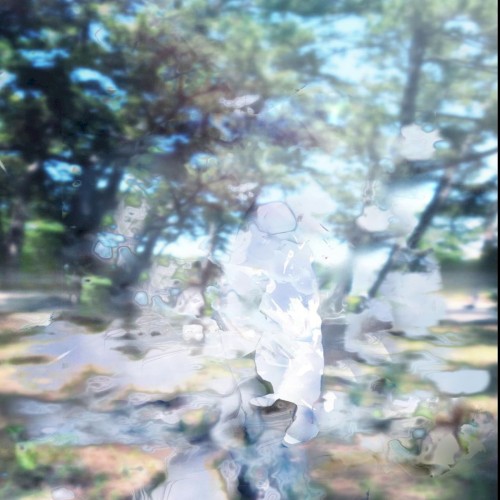 kaze no katachi