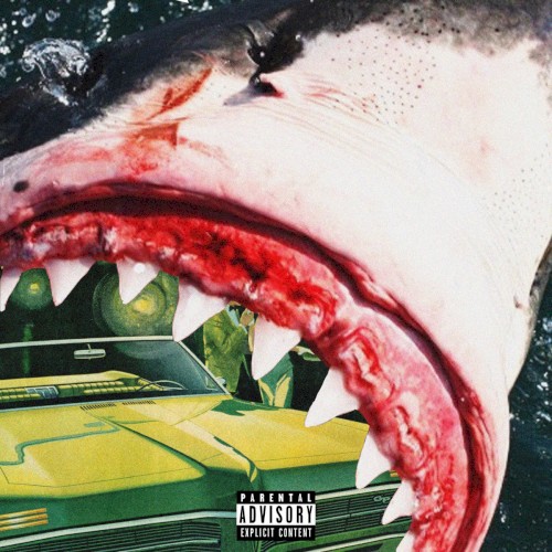 Shark Report