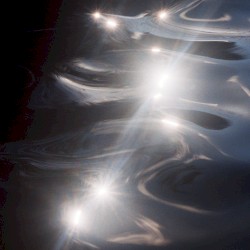 Mycelial Echo