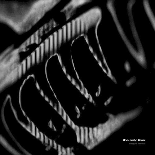 Nine Inch Nails - Reaps Remix Single 007 - The Only Time