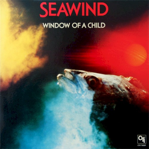 Window of a Child