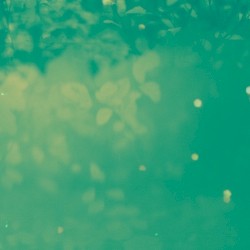 Raindrops