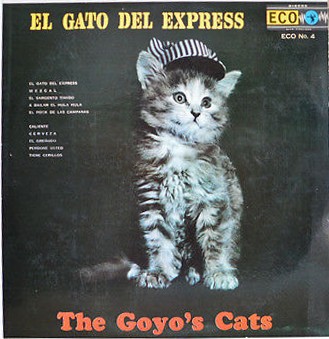El gato del express
