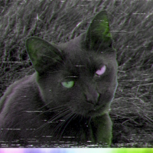 Black on Black