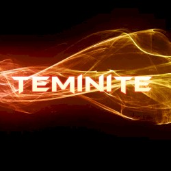 Army Of Jah (Teminite remix)