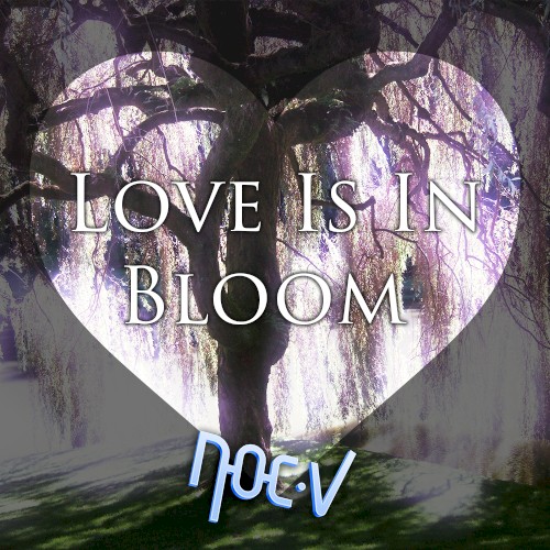 Love Is In Bloom