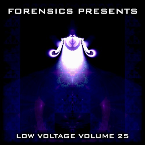 Low Voltage Volume 25
