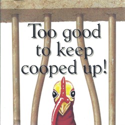 Wild Turkey: Too Good To Keep Cooped Up!