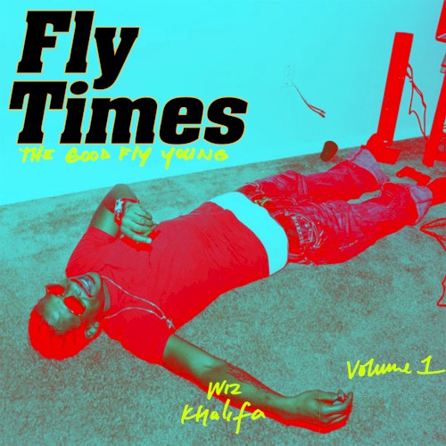 Fly Times, Volume 1: The Good Fly Young