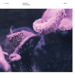 Alsatian / Scotch Mist