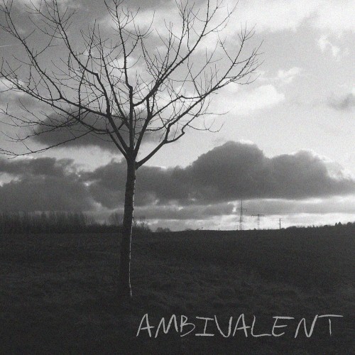 Ambivalent