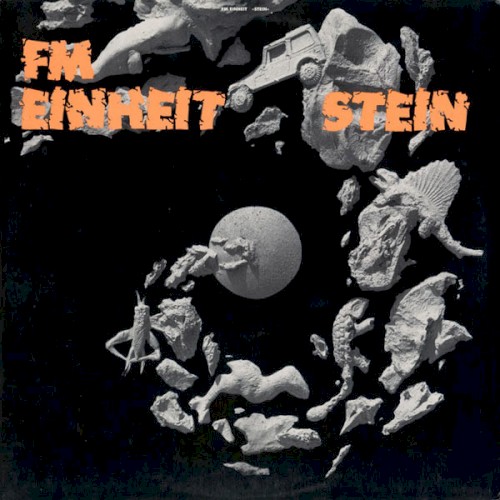 Stein