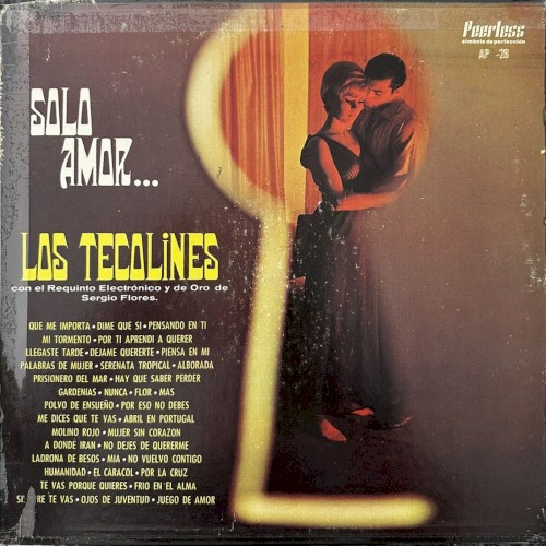 Solo amor