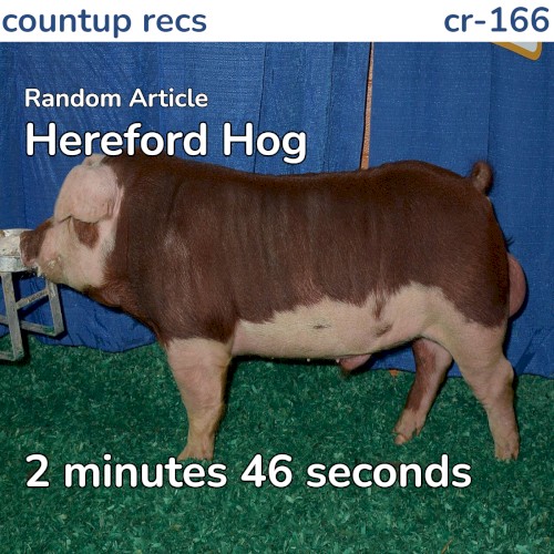 Hereford Hog