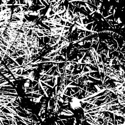 The Plains of Gorgoroth