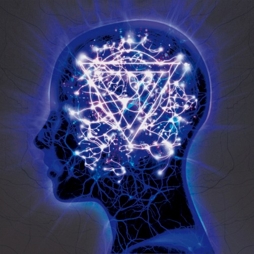 Never Let Go of the Microscope