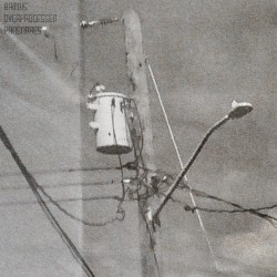 bambi's overprocessed pansnares