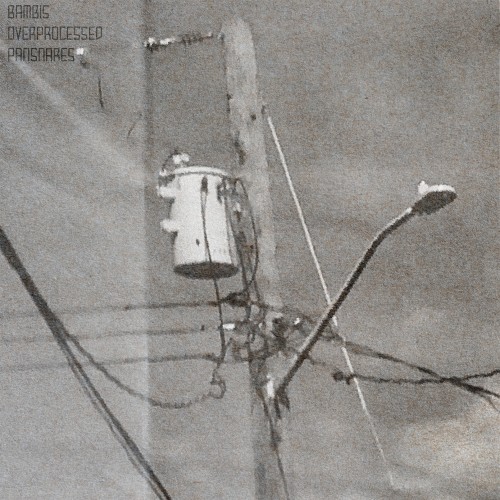 bambi's overprocessed pansnares