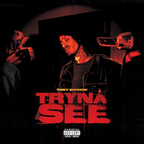Tryna See