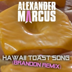 Hawaii Toast Song