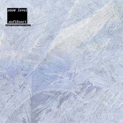 Snow Level