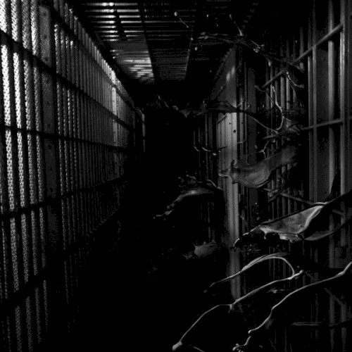 Institution