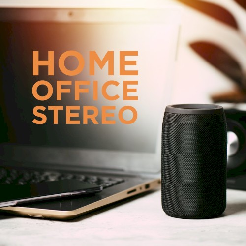 Home Office Stereo