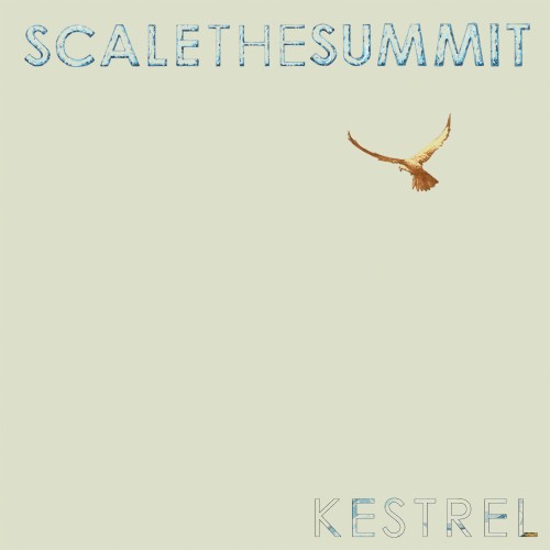 Kestrel