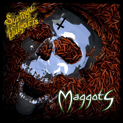 Maggots