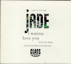 I Wanna Love You
