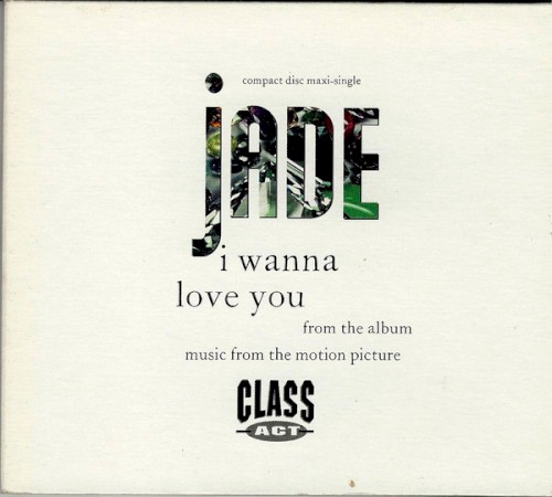 I Wanna Love You