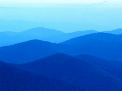 windows6